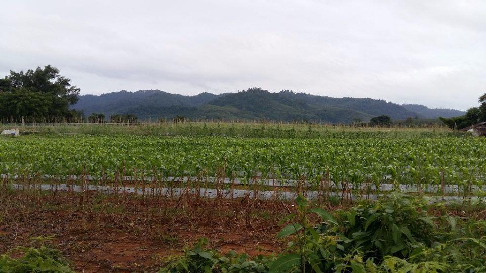 Dachatorn Village Khao Lak Ngoại thất bức ảnh